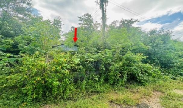 วังด้ง เมืองกาญจนบุรี กาญจนบุรี