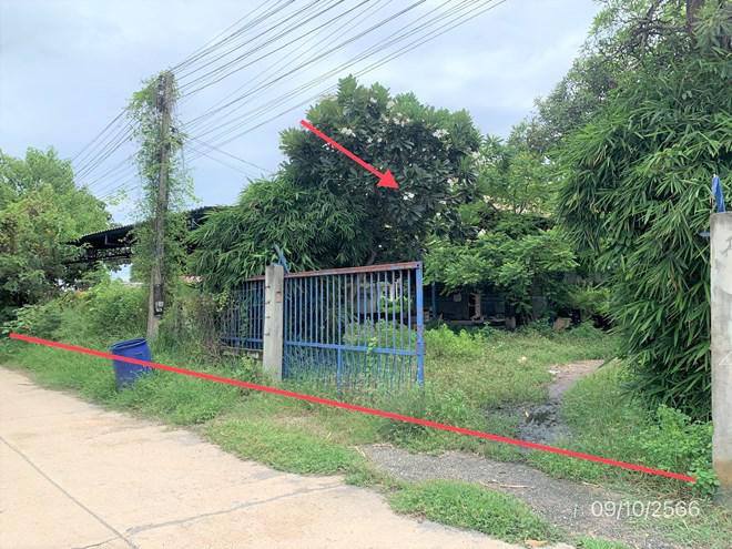 ท่าไม้ ท่ามะกา กาญจนบุรี