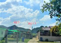 ขายบ้านเดี่ยว